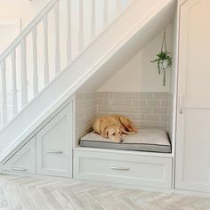 a dog laying on its bed under the stairs in a house with white walls and flooring