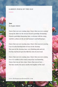 the garden poem of the day is written in pink flowers on a blue sky background