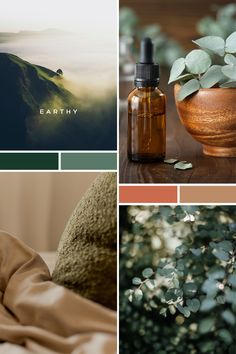 a collage of photos with plants and other things in them, including a bottle of essential oils