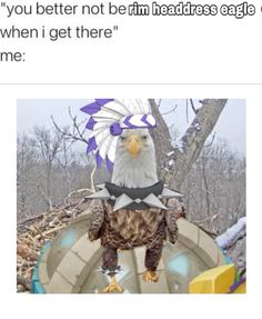 an eagle with a headdress on top of it