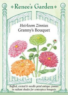 the front cover of an illustrated book with flowers on it, including pink and orange chrys