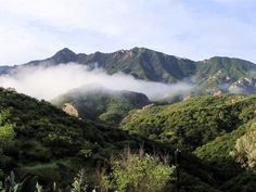 the mountains are covered in thick clouds and green vegetation, with trees on either side