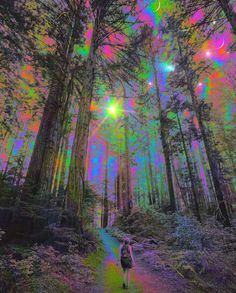 a person walking down a trail through a forest filled with lots of colorful lights and trees