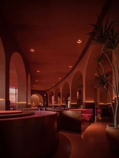 the interior of a restaurant with red lighting and large potted plant in the center