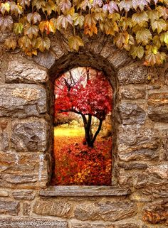 an open window in a stone wall with a red tree on the outside and yellow leaves on the inside