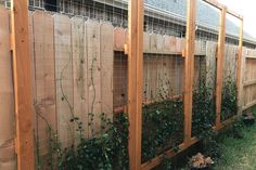 a wooden fence with plants growing on it