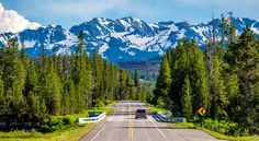 an empty road with mountains in the background and trees on both sides, surrounded by evergreens