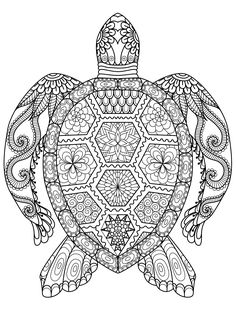 a coloring book page with an intricate turtle