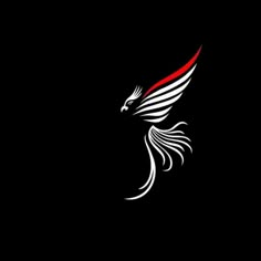 a white and red bird with black background