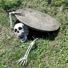 a skeleton laying in the grass next to a round object