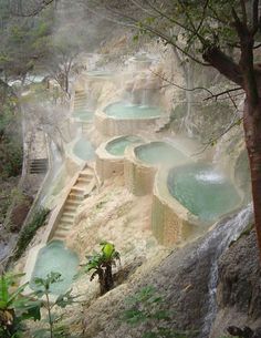 the hot springs are surrounded by trees and water