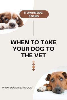 a brown and white dog laying on the ground next to a sign that says, when to take your dog to the vet