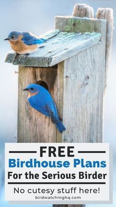 two blue birds sitting on top of a wooden birdhouse with the words free birdhouse plans for the serious birder