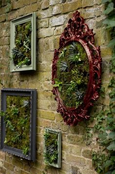 there are three frames on the wall with plants growing in them and one has a mirror hanging on it