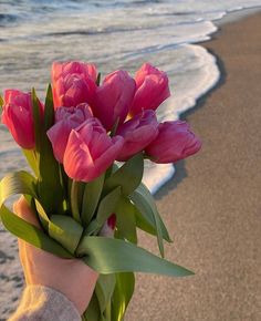 Har qanday kulfatning ikki davosi bor - vaqt va sukut. Sea Flowers, Vintage Flowers Wallpaper, Boquette Flowers, Nothing But Flowers, Flower Therapy, Lilac Flowers, Flower Phone Wallpaper, Pink Tulips, Tulips Flowers