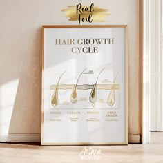 a hair growth cycle poster hanging on the wall