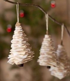 three white ornaments hanging from a tree branch