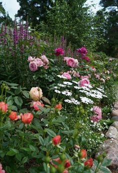 a garden filled with lots of pink and white flowers