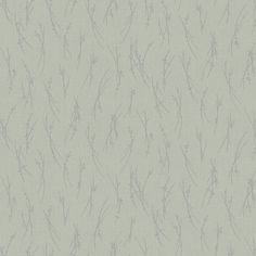 Sprigs Wallpaper Wallpaper Antonina Vella Double Roll Eucalyptus/Silver Happy Feeling, Silver Wallpaper, Wallpaper For Sale, W Wallpaper, York Wallcoverings, Burke Decor, Accent Wallpaper, Green Wallpaper, Wallpaper Samples