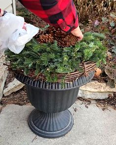 a person placing pine cones in a planter