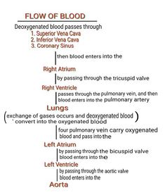 the flow of blood is shown in this diagram