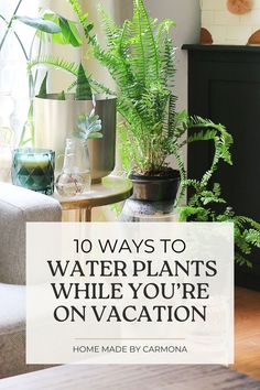 a living room with plants on the table and text overlay that reads 10 ways to water plants while you're on vacation