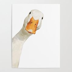 a watercolor painting of a white duck with orange beak