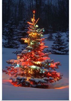 a lit up christmas tree in the snow