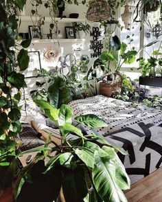 a bed with lots of green plants on top of it and hanging from the ceiling