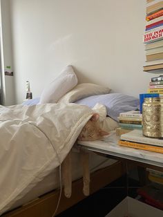 there is a cat that is hiding under the covers on this bed and it looks like he's sleeping