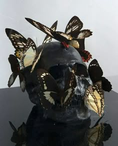 a skull with butterflies on it sitting on top of a black table in front of a window