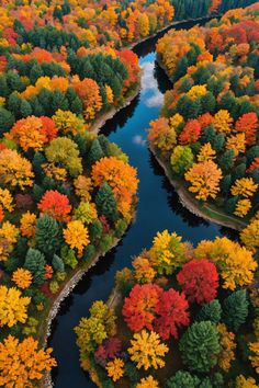 Autumnal Beauty: Where to Find the Best Fall Foliage in Wisconsin Wisconsin Fall Foliage, Wisconsin Landscape, Fall Foliage Michigan, Maryland Fall Foliage, Oregon Fall Foliage, Massachusetts Fall Foliage, Aesthetic Scenes, Wisconsin Fall, Autumn Backgrounds