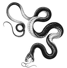 a black and white drawing of a snake