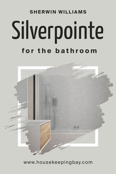 Silverpointe SW 7653 for the Bathroom by Sherwin-Williams Windowless Bathroom, Pretty Lights, Painting Bathroom