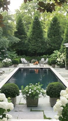 an outdoor swimming pool surrounded by white flowers and greenery with chairs around the pool