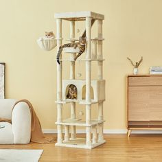 a cat tree in the middle of a living room