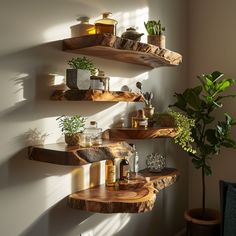 three wooden shelves with plants and other items on them in the corner of a room