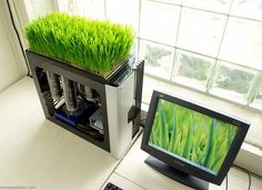 a computer monitor sitting on top of a desk with grass growing out of it