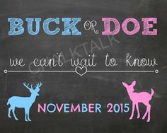 a chalkboard with the words buck or doe, we can't wait to know