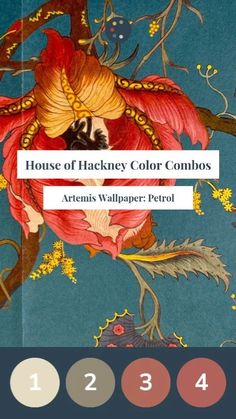 the house of hackney color combos are available for purchase on amazon primestorers