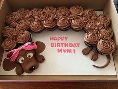 a box filled with chocolate cupcakes in the shape of a mouse