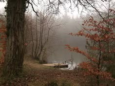 a lake surrounded by trees in the middle of fall with leaves on the ground and fog hanging over it