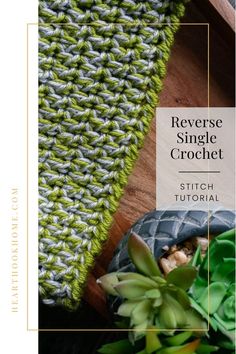 the reverse single crochet stitch is shown next to a potted succulent