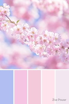 pink and blue color palette with flowers