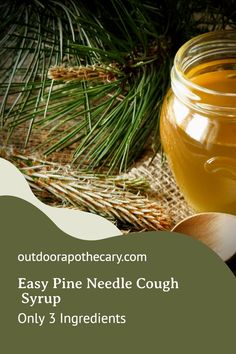 Say goodbye to cough syrups made with artificial additives! 👋 Try our easy pine needle cough syrup 🍃🍹. It's a natural, eco-friendly solution with proven results. 🌱❤️ Natural Remedies For Cough, Growing Herbs Inside, Pine Tea, Growing Herbs In Pots, Remedies For Cough, Diy Medicine, Holistic Doctor, Healthy Holistic Living, Holistic Practitioner