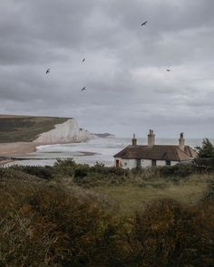 some birds are flying over the water and houses by the beach on a cloudy day