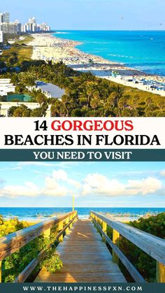 Best Places To Visit In Florida, Best Beaches In Florida, Things To Do In Florida, Beaches In Florida, Best Beach In Florida, Florida Beaches Vacation, Beach In Florida, Travel Florida, Dog Friendly Beach