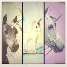 three pictures of horses with different colors and patterns on them, one has a unicorn's head