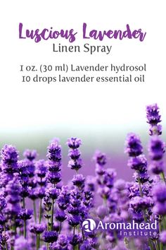 A smile comes to my face every time I smell Lavender. I am instantly transported to a field of Lavender!  Gently shake, then lightly spritz under your pillow and the top of your blankets and settle into dreamland. Field Of Lavender, Essential Oil Safety, Essential Oils Herbs, Herbal Recipes, Living Essentials Oils, Living Essentials