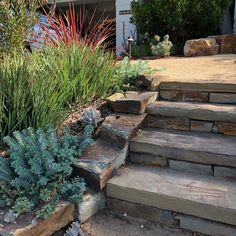 some plants and rocks in front of a house on the side of a road with steps leading up to it